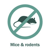 icon_mice_and_rodent